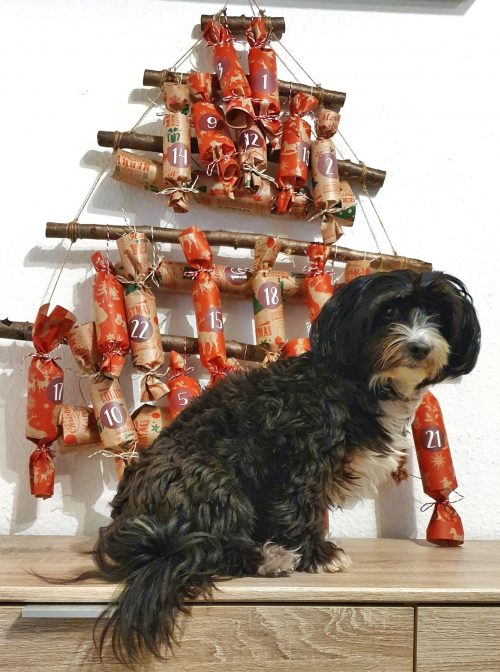 Blog mit Wuff Der Hundeblog Adventskalender für Hunde selber machen